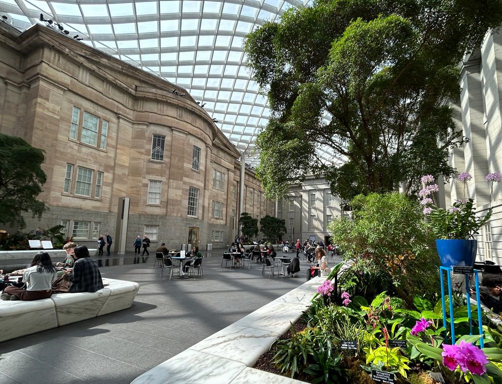 Orchids Belong in this Museum Courtyard